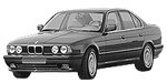 BMW E34 P1791 Fault Code